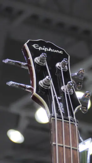 Epiphone - EBVIVSCH 2